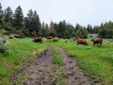 1146 Us Highway 12 - Photo 4