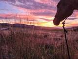 1146 Us Highway 12 - Photo 5