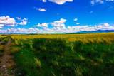 Muddy Creek Ranch - Photo 10