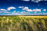 Muddy Creek Ranch - Photo 12