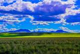 Muddy Creek Ranch - Photo 14