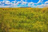 Muddy Creek Ranch - Photo 16