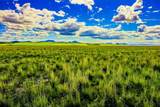 Muddy Creek Ranch - Photo 18