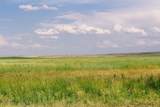 Muddy Creek Ranch - Photo 19