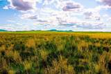Muddy Creek Ranch - Photo 20