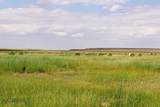 Muddy Creek Ranch - Photo 21