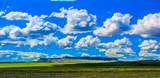 Muddy Creek Ranch - Photo 24