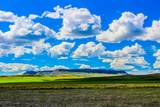 Muddy Creek Ranch - Photo 26