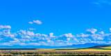 Muddy Creek Ranch - Photo 28
