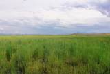Muddy Creek Ranch - Photo 3