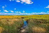 Muddy Creek Ranch - Photo 30