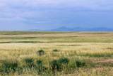 Muddy Creek Ranch - Photo 31