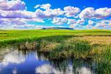 Muddy Creek Ranch - Photo 32