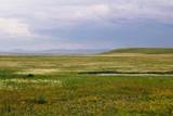 Muddy Creek Ranch - Photo 33