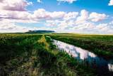 Muddy Creek Ranch - Photo 34
