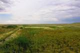 Muddy Creek Ranch - Photo 35