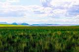 Muddy Creek Ranch - Photo 39