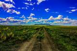 Muddy Creek Ranch - Photo 4