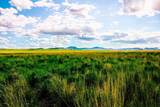 Muddy Creek Ranch - Photo 40