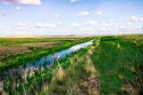 Muddy Creek Ranch - Photo 41