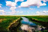 Muddy Creek Ranch - Photo 42