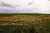 Muddy Creek Ranch - Photo 5