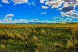 Muddy Creek Ranch - Photo 8