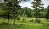Ranch 5 North Pass Ranches - Photo 12