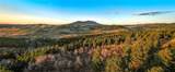 495 Moffit Gulch Road - Photo 1