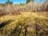 495 Moffit Gulch Road - Photo 16