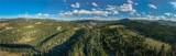 495 Moffit Gulch Road - Photo 19