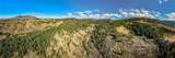 495 Moffit Gulch Road - Photo 34