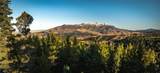 495 Moffit Gulch Road - Photo 4