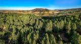495 Moffit Gulch Road - Photo 9