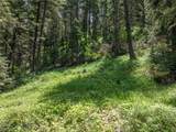 TBD Gallatin Road - Photo 19