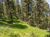 TBD Gallatin Road - Photo 21