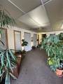 24 Willson Avenue - Photo 3