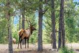 TBD Crown Butte, Lot 88 - Photo 9
