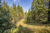 Lot 7 Skywood Road - Photo 10