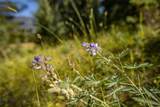Lot 7 Skywood Road - Photo 20
