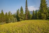 Lot 7 Skywood Road - Photo 33