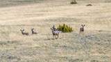 LOT 55A Mustang Ranches - Photo 3