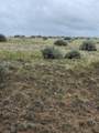 710 Gamblers Run - Photo 8