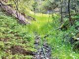 18600 Pole Gulch - Photo 42