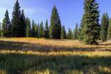 208 Outlook Trail - Photo 11