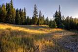 208 Outlook Trail - Photo 16