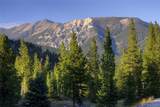 208 Outlook Trail - Photo 2