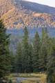 208 Outlook Trail - Photo 20