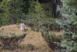 208 Outlook Trail - Photo 21