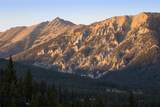 208 Outlook Trail - Photo 4